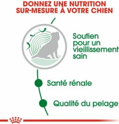 Royal Canin Mini Ageing 12+ -EUKANUBA Winkel lm 377d34ab169b70c9dcd35e62896010cd9ff1639142744