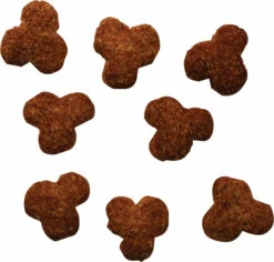 BIOFOOD Senior 22/7 -EUKANUBA Winkel lm 377d34ab169b70c9dcd35e62896010cd9ff1651151805