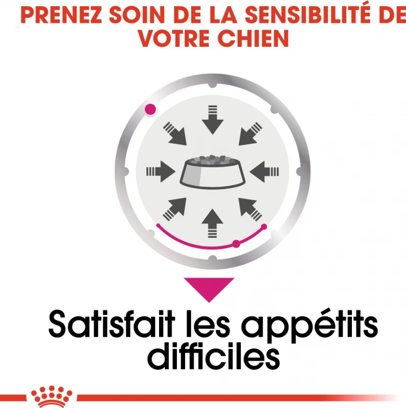 Royal Canin Exigent Natvoer Mousse Voor Honden 5 Royal Canin Exigent Natvoer Mousse Voor Honden - Afbeelding 5