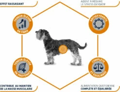 Advance Veterinary Diets - Weight Balance Mini -EUKANUBA Winkel lm 396f8c1f23d6a8d8d7904fc0ea8e066b3bb1575037535