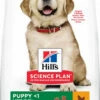 HILL'S Science Plan Canine Puppy Large Breed