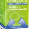 GREEN VET Chondro/B - Voedingssupplement Voor Gewrichten Voor Katten En Honden