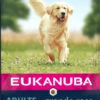 Eukanuba Adult Maintenance Large Breed