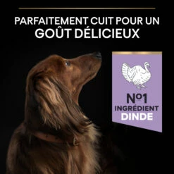 PRO PLAN Small & Mini Adult Sensitive Digestion Grain Free -EUKANUBA Winkel lm 409a96b65a721e561e1e3de768ac819ffbb1687270613
