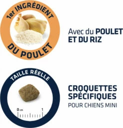 Advance Mini Light, Met Kip 7 Advance Mini Light, Met Kip -EUKANUBA Winkel lm 412b9228e0962a78b84f3d5d92f4faa000b1567002344