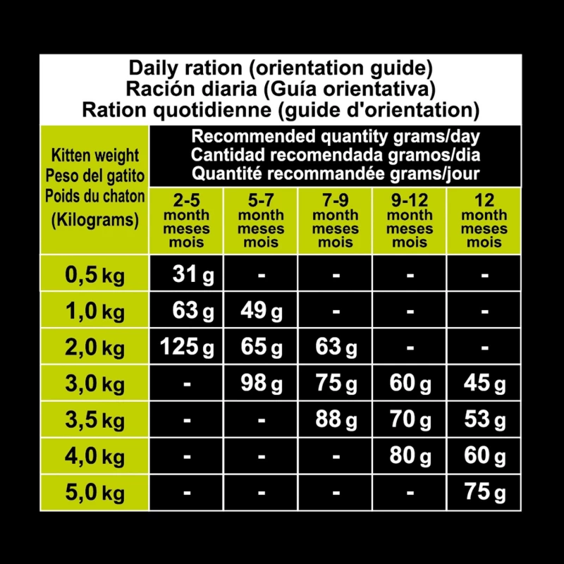 ARQUIVET Kitten - Met Kalkoen 2 ARQUIVET Kitten - Met Kalkoen - Afbeelding 2