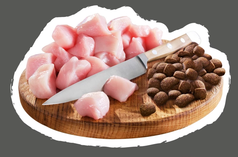 Belcando Junior Maxi 2 Belcando Junior Maxi - Afbeelding 2