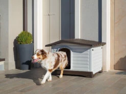 FERPLAST Plastic Hondenhok DogVilla -EUKANUBA Winkel lm 413416a75f4cea9109507cacd8e2f2aefc1590567807