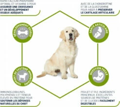 Advance Maxi Junior - Met Kip -EUKANUBA Winkel lm 423faa9afea49ef2ff029a833cccc778fd01568299557