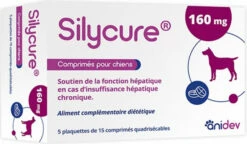 Axience Silycure Ondersteuning Van De Leverfunctie Voor Honden