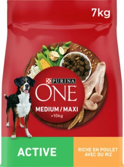 PURINA ONE Medium Maxi Active