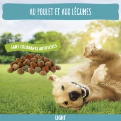 FRISKIES Dog Vitafit Light, Met Kip -EUKANUBA Winkel lm 4529431c87f273e507e6040fcb07dcb45091666343662