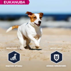 Eukanuba Breed Specific Jack Russell Terrier -EUKANUBA Winkel lm 455821fa74b50ba3f7cba1e6c53e8fa68451641826251