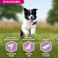 Eukanuba Puppy Small & Medium Breed Lamb & Rice -EUKANUBA Winkel lm 45742998cf32d552343bc8e460416382dca1608300076