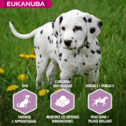 Eukanuba Puppy Lam & Rijst 9 Eukanuba Puppy Lam & Rijst -EUKANUBA Winkel lm 4597fe1f8abaad094e0b5cb1b01d712f7081604655740