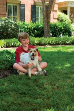 Deluxe Antiblafhalsban Met Spray Voor Kleine Honden PetSafe 6 Deluxe Antiblafhalsban Met Spray Voor Kleine Honden PetSafe -EUKANUBA Winkel lm 464f1b6f2857fb6d44dd73c7041e0aa0f191632494632