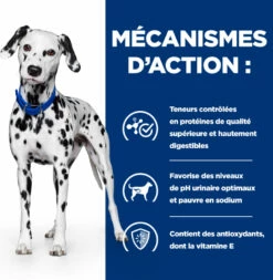 HILL'S Prescription Diet U/D Urinary Care 12 HILL'S Prescription Diet U/D Urinary Care -EUKANUBA Winkel lm 464f1b6f2857fb6d44dd73c7041e0aa0f191646817018