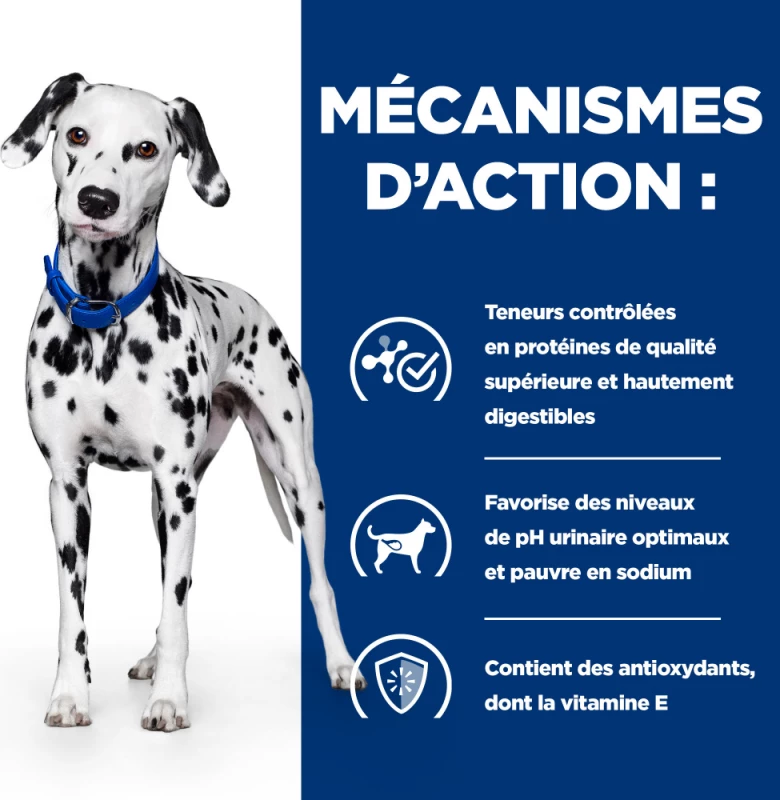 HILL'S Prescription Diet U/D Urinary Care 5 HILL'S Prescription Diet U/D Urinary Care - Afbeelding 5