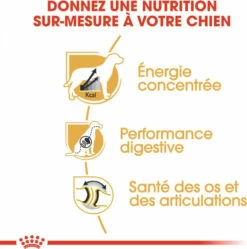 ROYAL CANIN Great Dane -EUKANUBA Winkel lm 484eba0dc302bcd9a273f8bbb72be3a687b1598437762