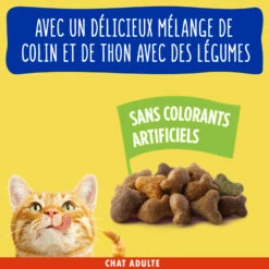 Friskies Met Vis Voor Volwassen Katten -EUKANUBA Winkel lm 485218a0aefd1d1a4be65601cc6ddc1520e1666018256