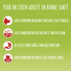 FRISKIES Vitafit Active Met Rund -EUKANUBA Winkel lm 496b534ba68236ba543ae44b22bd110a1d61666338664