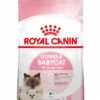 Royal Canin Mother & Babycat