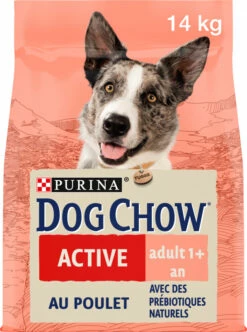DOG CHOW Active Met Kip