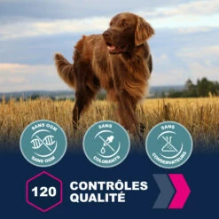 Eukanuba Active Adult Large Breed -EUKANUBA Winkel lm 510087408522c31eeb1f982bc0eaf81d35f1641822347