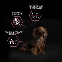 PRO PLAN Small & Mini Adult Sensitive Skin -EUKANUBA Winkel lm 52253fde96fcc4b4ce72d7739202324cd491687271420