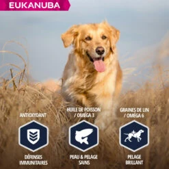 Eukanuba Breed Specific Golden Retriever -EUKANUBA Winkel lm 53665658fde58ab3c2b6e5132a39fae7cb91641827355