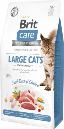 BRIT CARE Grain-Free Large Cats Power & Vitality