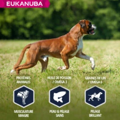 Eukanuba Breed Specific Boxer -EUKANUBA Winkel lm 53d82c8d1619ad8176d665453cfb2e55f01641828052