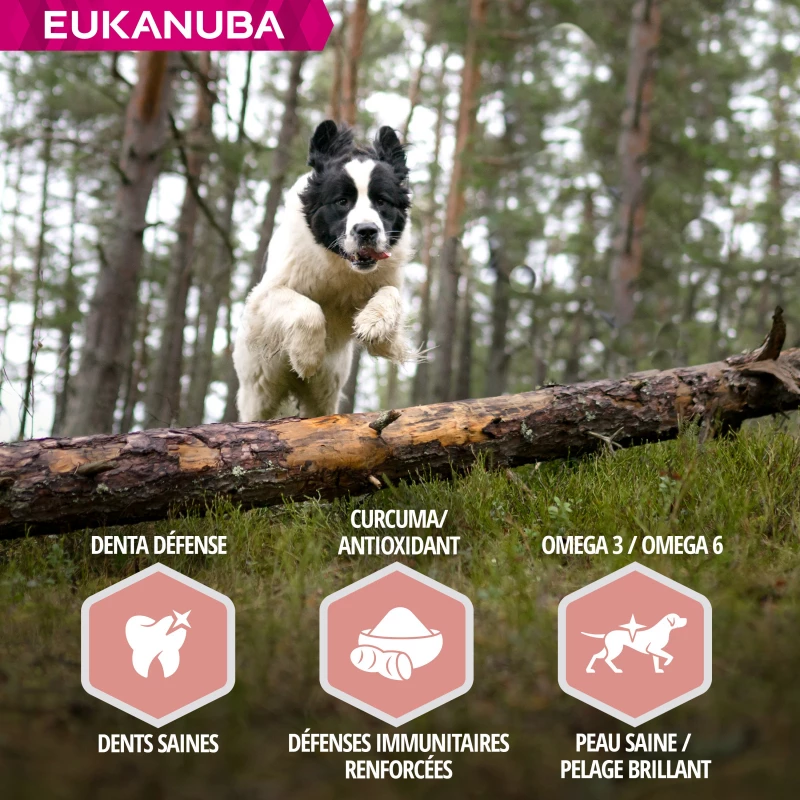 Eukanuba Mature & Senior All Breeds 5 Eukanuba Mature & Senior All Breeds - Afbeelding 5