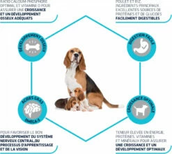 Advance Mother Et Initial Puppy -EUKANUBA Winkel lm 5576e2713a6efee97bacb63e52c54f0ada01568989597