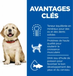 HILL'S Science Plan Canine Puppy Large Breed -EUKANUBA Winkel lm 585a9a1d5317a33ae8cef33961c34144f841643272477