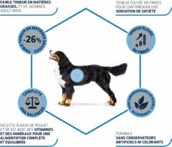 Advance Maxi Light - Met Kip -EUKANUBA Winkel lm 61679091c5a880faf6fb5e6087eb1b2dc1568300240