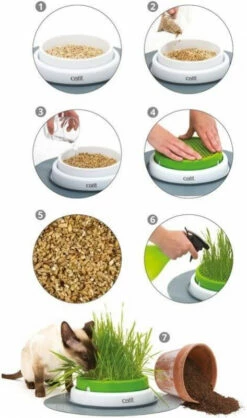 Grass Planter Cat It Senses 2.0 -EUKANUBA Winkel lm 623a733fa9b25f33689e2adbe72199f0e621519383990