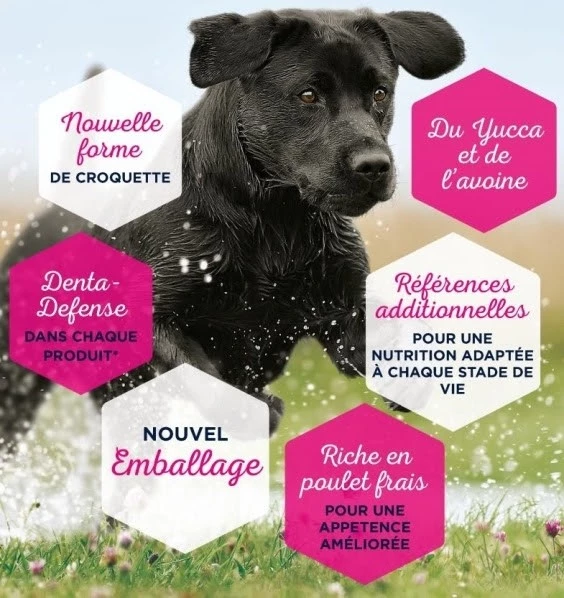 Eukanuba Mature & Senior Medium 2 Eukanuba Mature & Senior Medium - Afbeelding 2