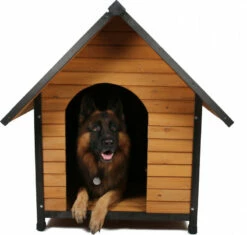 Houten Hok Voor Buiten Voor Honden En Katten ZOLIA Black Cléo -EUKANUBA Winkel lm 637a532400ed62e772b9dc0b86f46e583ff1573142341