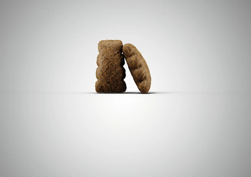 JOSERA Sensi Plus Eend & Rijst 4 JOSERA Sensi Plus Eend & Rijst - Afbeelding 4