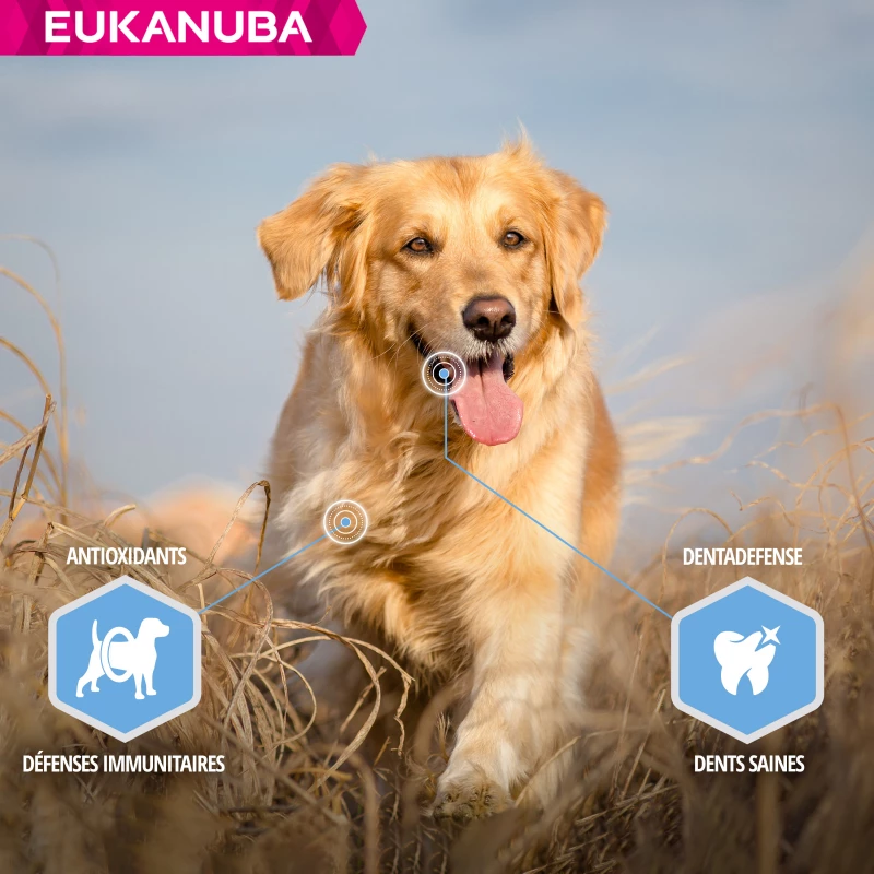 Eukanuba Daily Care Adult Weight Control Voor Grote Honden Met Overgewicht 4 Eukanuba Daily Care Adult Weight Control Voor Grote Honden Met Overgewicht - Afbeelding 4