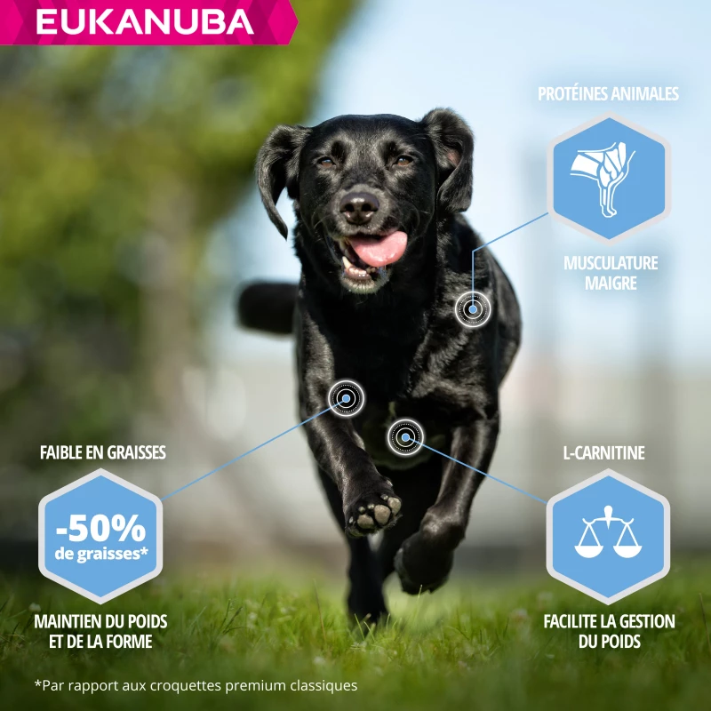 Eukanuba Daily Care Adult Weight Control Voor Grote Honden Met Overgewicht 2 Eukanuba Daily Care Adult Weight Control Voor Grote Honden Met Overgewicht - Afbeelding 2