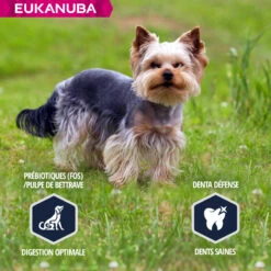 Eukanuba Breed Specific Yorkshire Terrier -EUKANUBA Winkel lm 6553d2d8ccb37df977cb6d9da15b76c3f3a1641825377