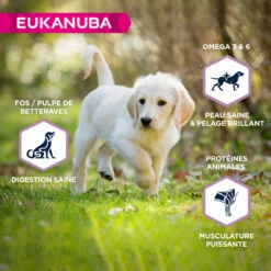 EUKANUBA Grain Free Puppy L/XL -EUKANUBA Winkel lm 6582f37d10131f2a483a8dd005b3d14b0d91635502235