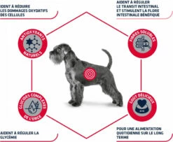 Advance Veterinary Diets Diabetes Colitis -EUKANUBA Winkel lm 6811595af6435015c77a7149e92a551338e1568990256