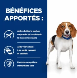 HILL'S Prescription Diet R/D Weight Reduction 11 HILL'S Prescription Diet R/D Weight Reduction -EUKANUBA Winkel lm 6877f5d04d189dfb634e6a85bb9d9adf21e1646667449