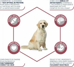 Affinity Advance Maxi Senior 7 Affinity Advance Maxi Senior -EUKANUBA Winkel lm 701b4a528955b84f584974e92d025a75d1f1569408101