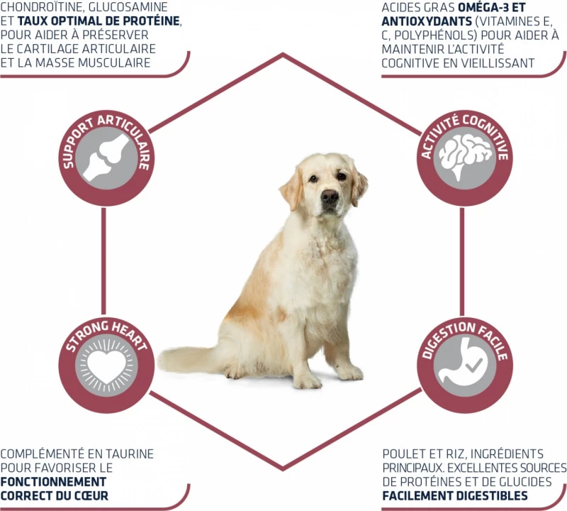 Affinity Advance Maxi Senior 3 Affinity Advance Maxi Senior - Afbeelding 3