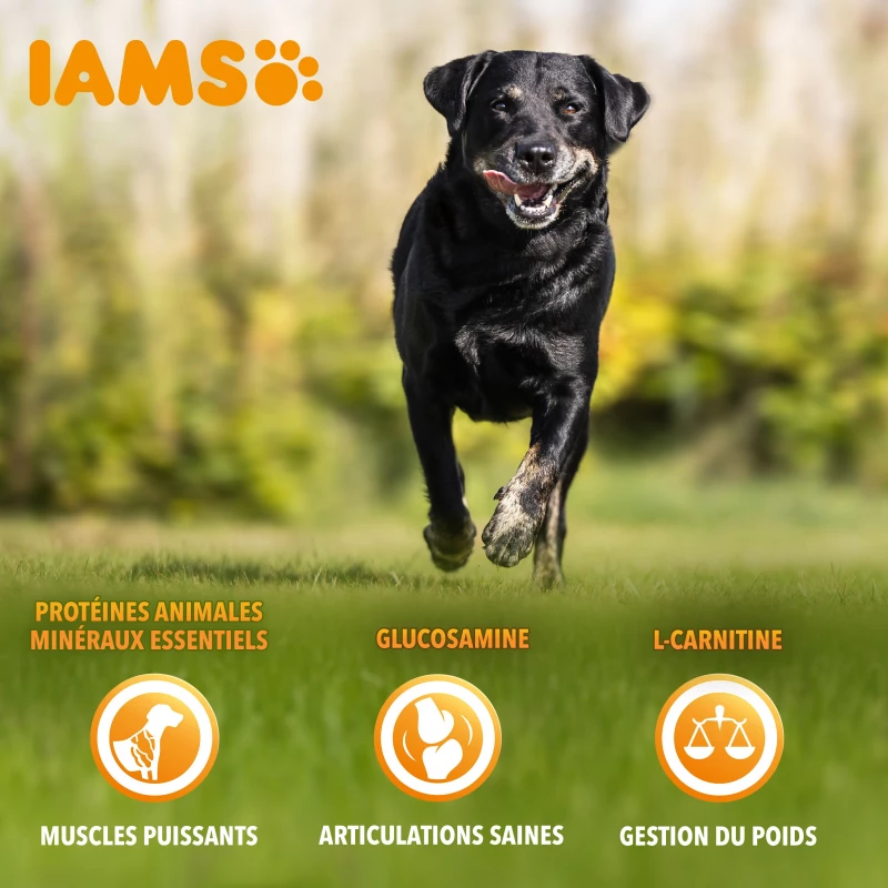 Iams Vitality Dog Senior, Met Kip 4 Iams Vitality Dog Senior, Met Kip - Afbeelding 4