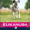 Eukanuba Adult Sensitive Adult, Zalm En Gerst